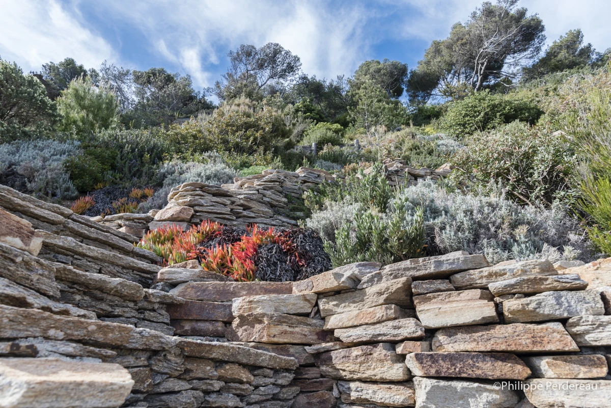 Un jardin au bord du vide-F102049