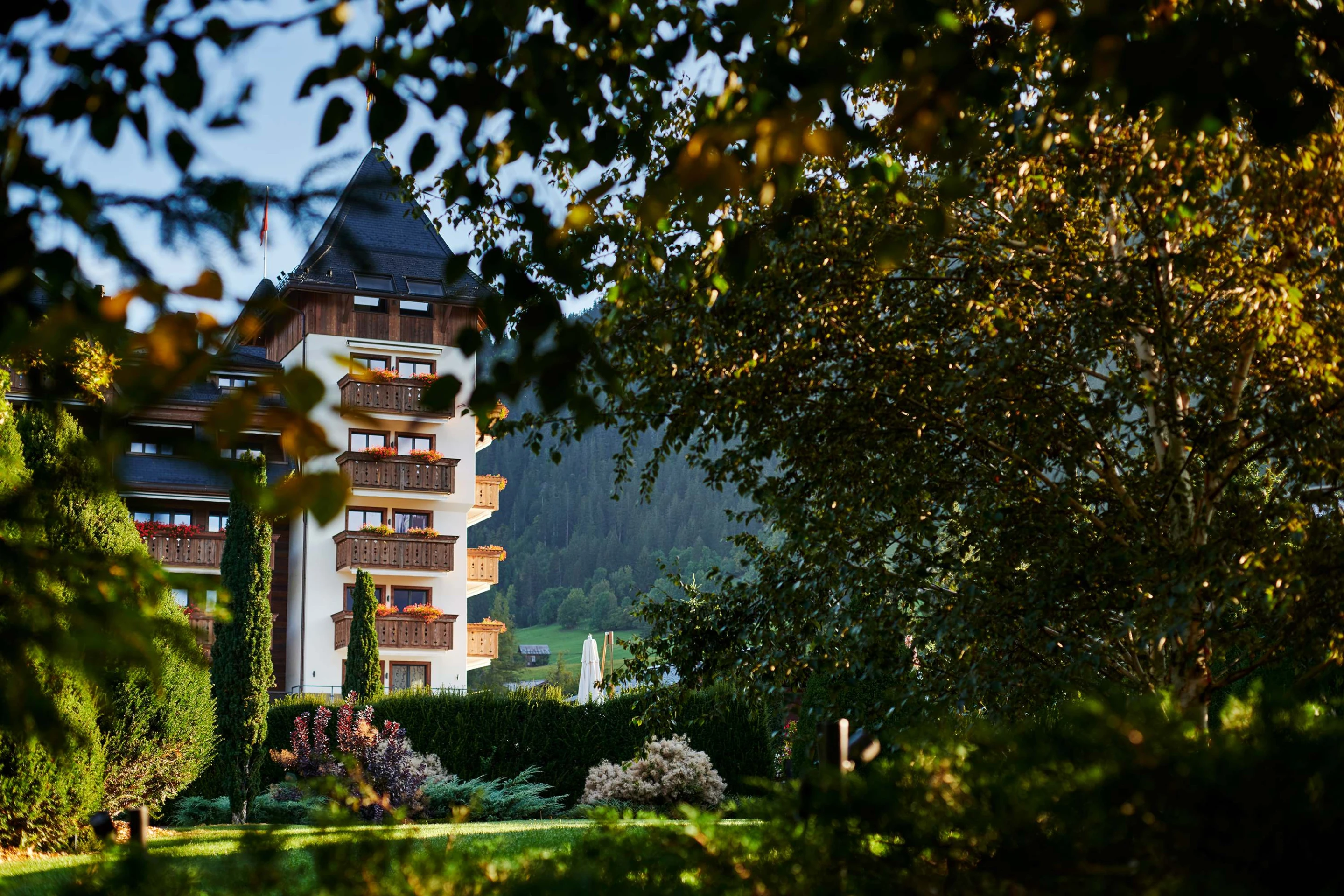 Hôtel alpina -01-BD