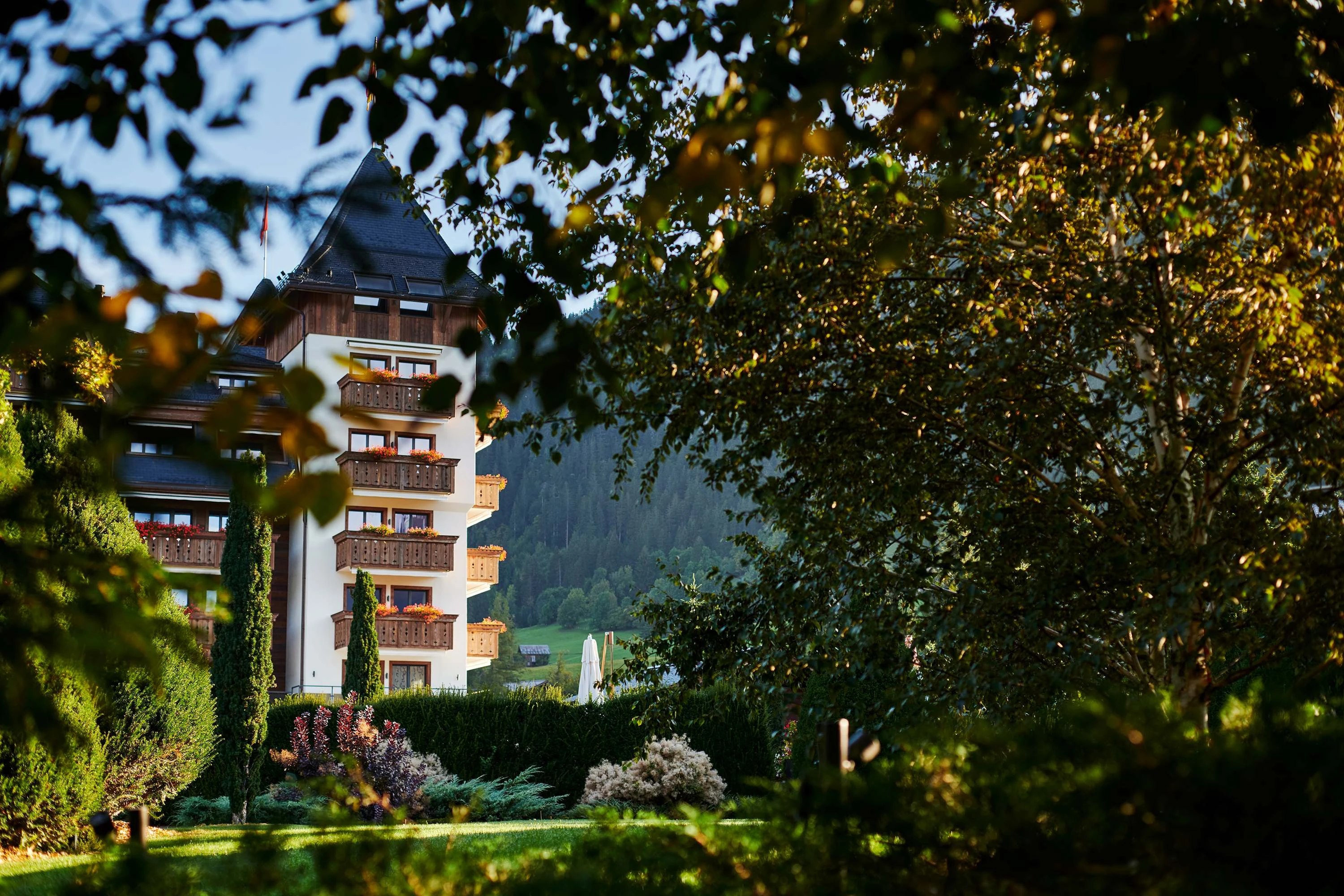 Hôtel alpina 