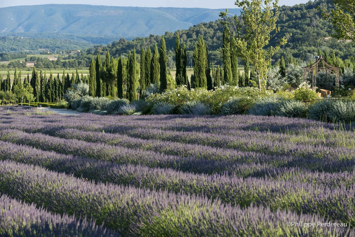 Une bastide dans le luberon-L104800