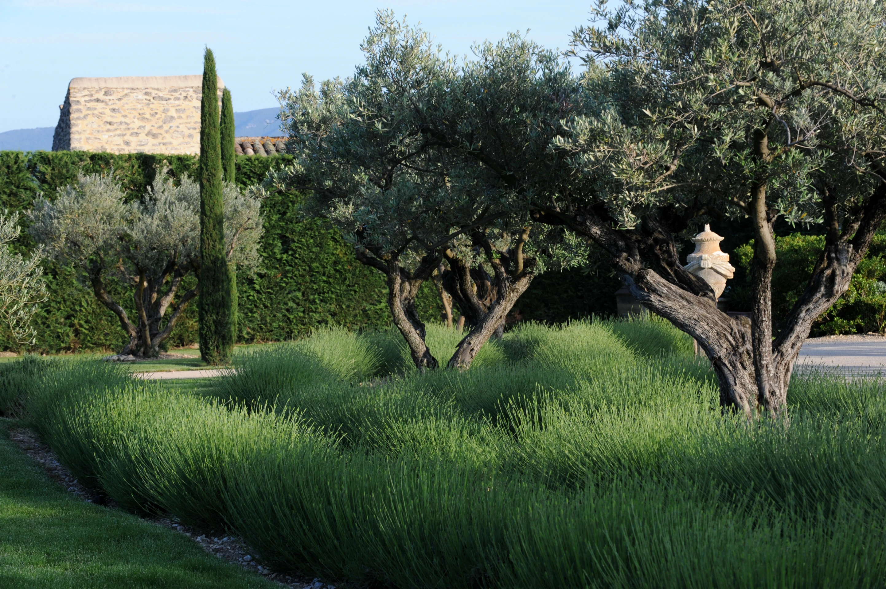 Une bastide dans le luberon-GO1_7955