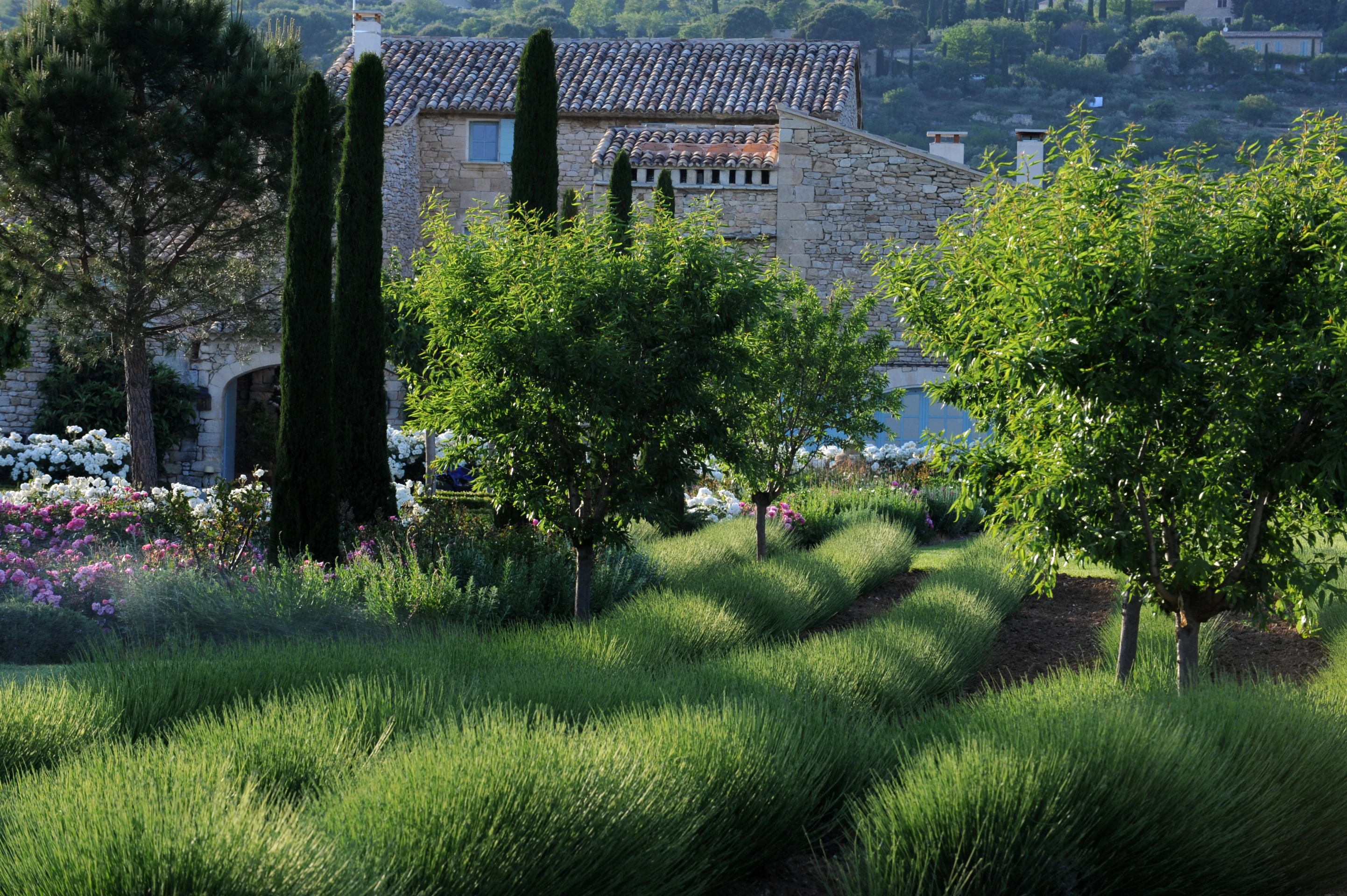 Une bastide dans le luberon-GO1_7957