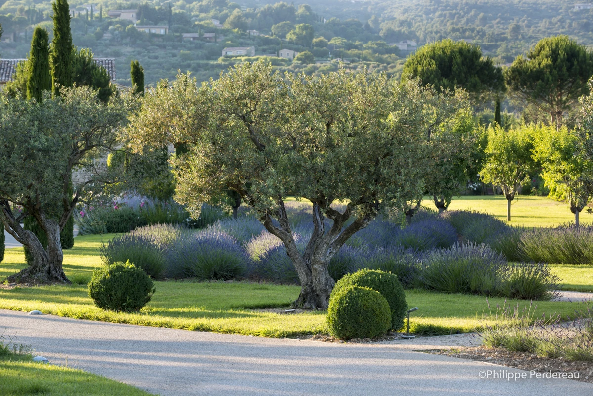 Une bastide dans le luberon-L104819