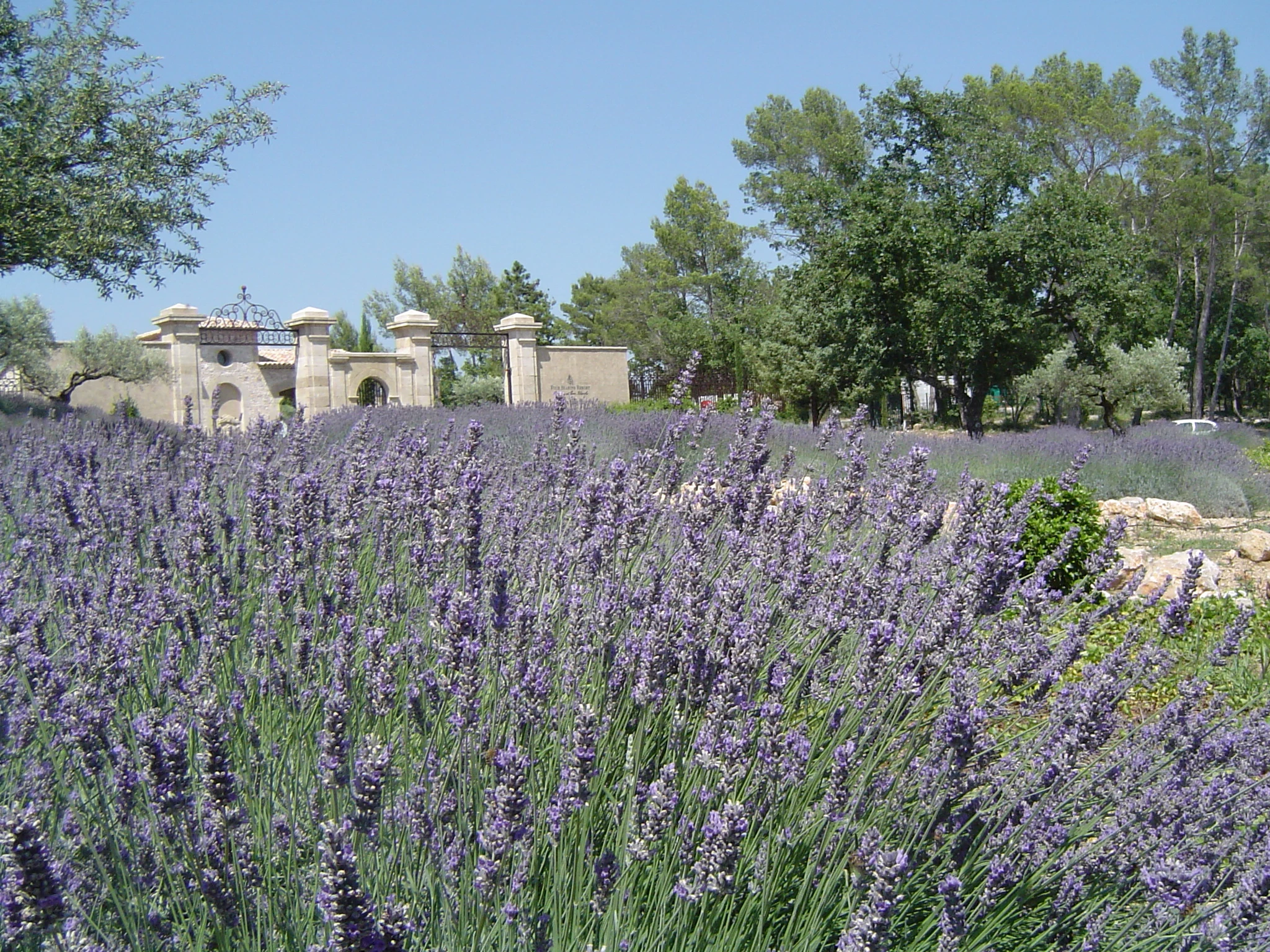 Domaine de terres blanches-DSC06059