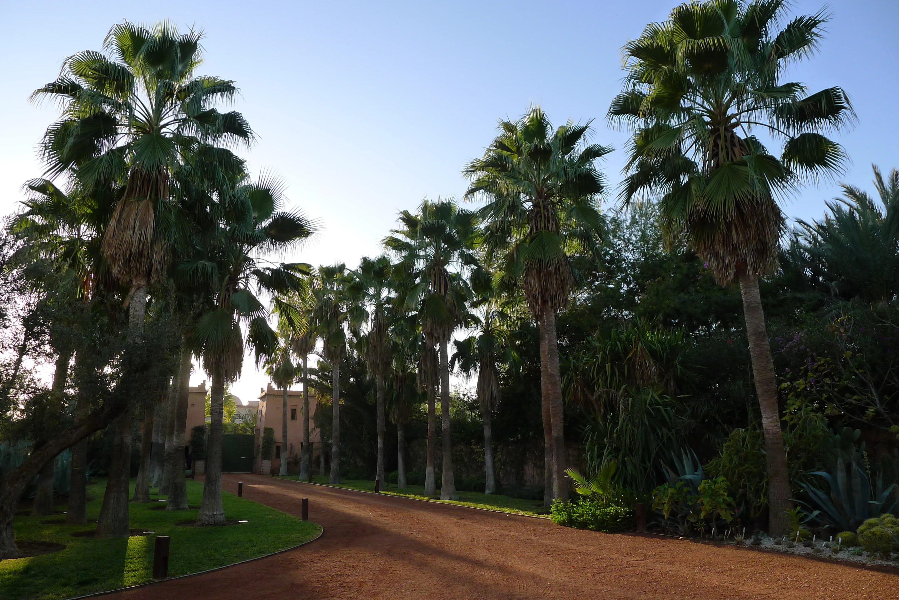 Un jardin a marrakech -P1050699