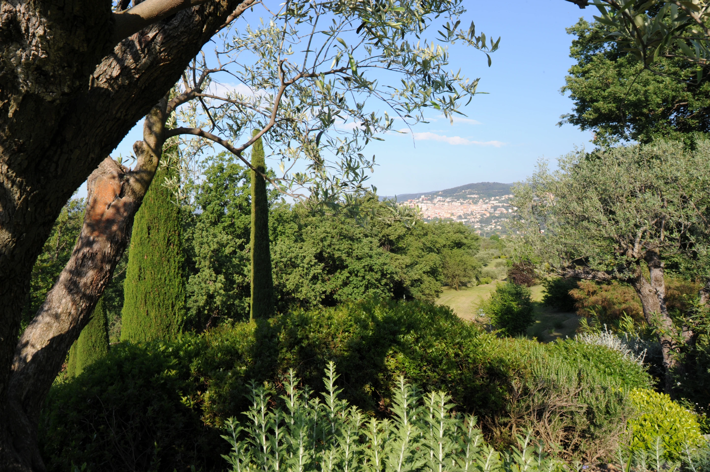 Un jardin de campagne-MU1_3396