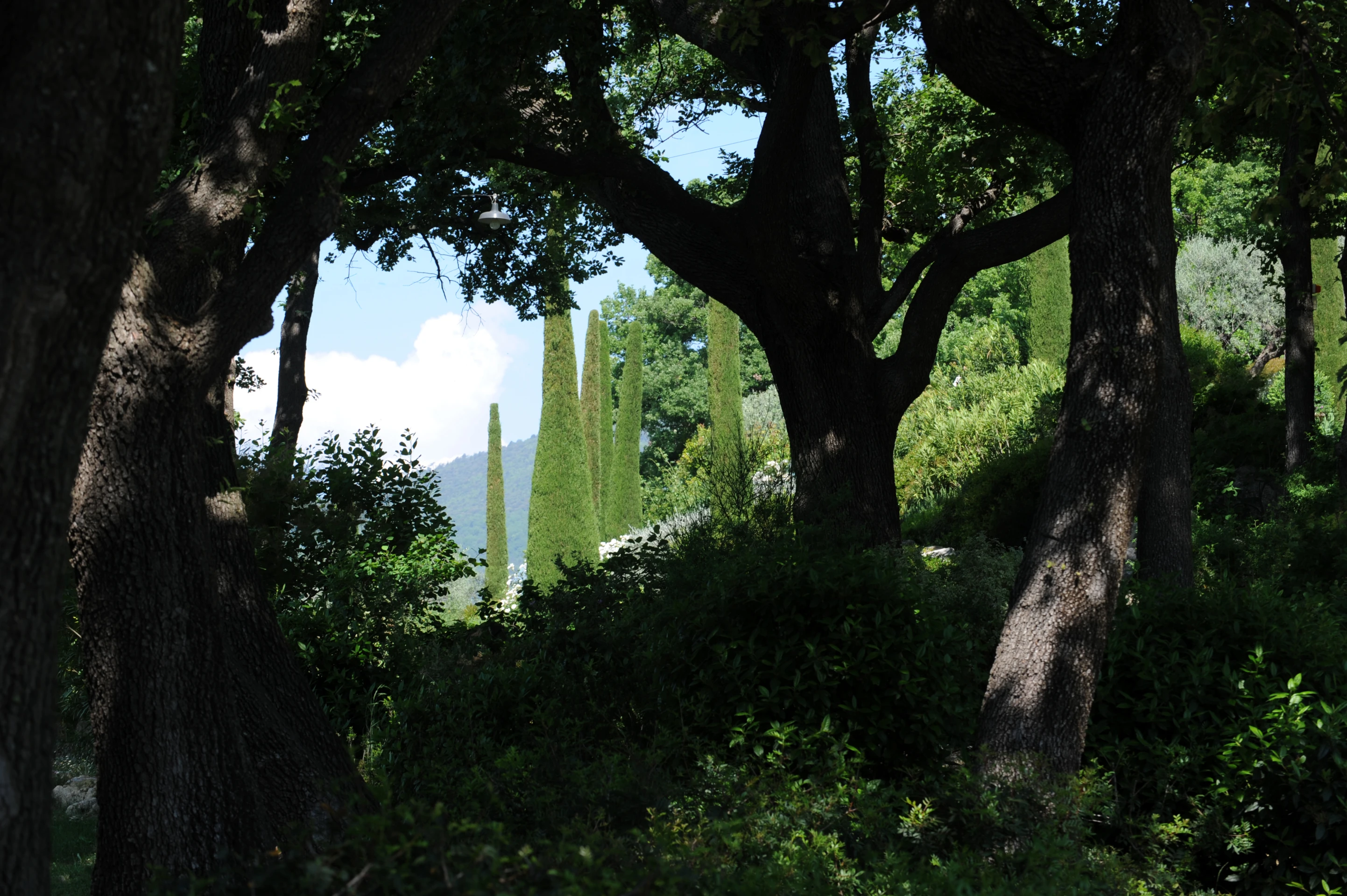 Un jardin de campagne-MU1_3639