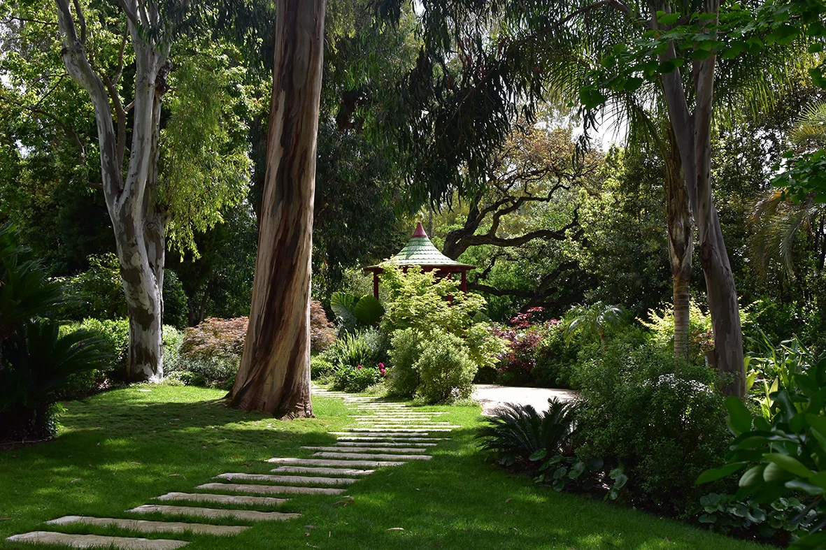 Les collines de la Californie à Cannes