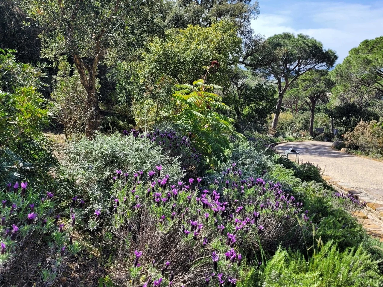 La famille des indigènes ...-06bd-Grande