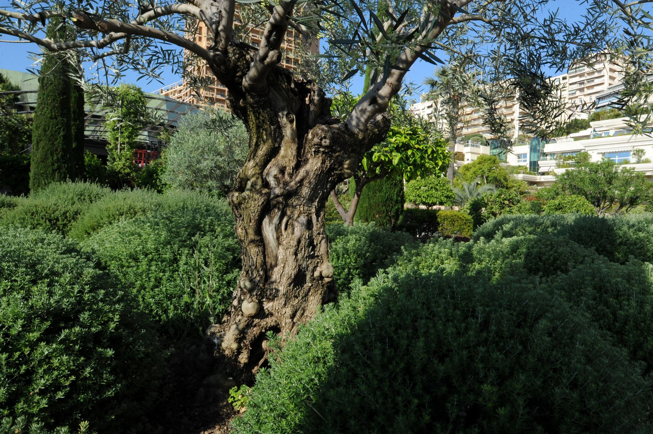 Le grimaldi forum 