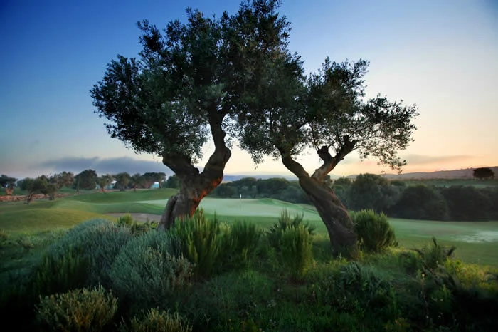 Le navarino resort -CostaNavarinoGolfpic12