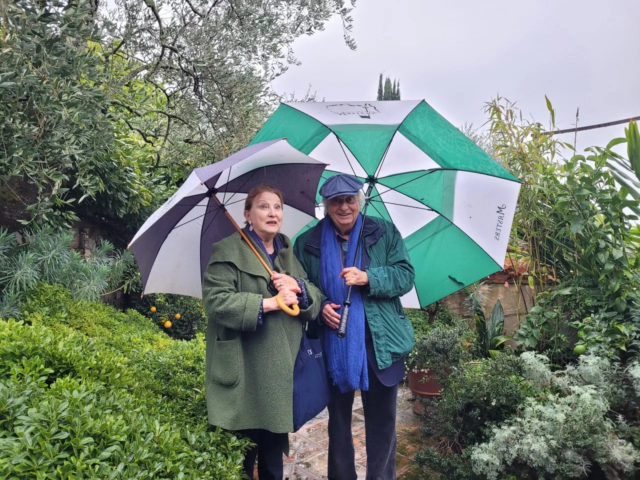 Rencontre sous la pluie ...