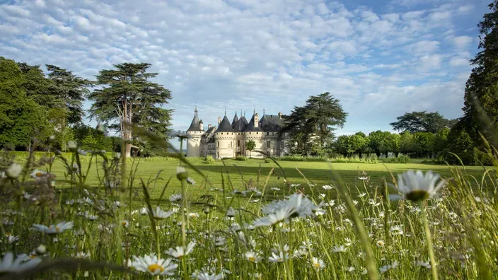 A chaumont-sur-loire, 30 ans de créations paysagères.