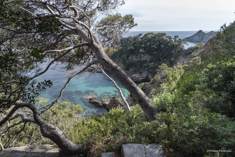 Un jardin au bord du vide