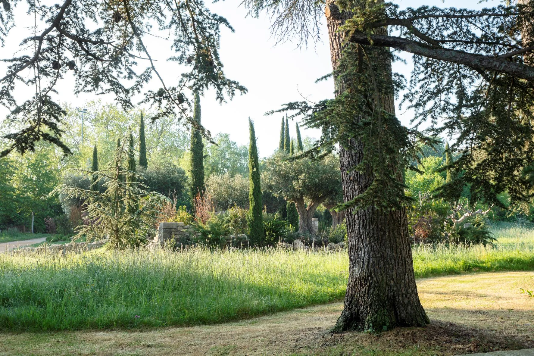 A chaumont-sur-loire, 30 ans de créations paysagères.-ES_8435bd