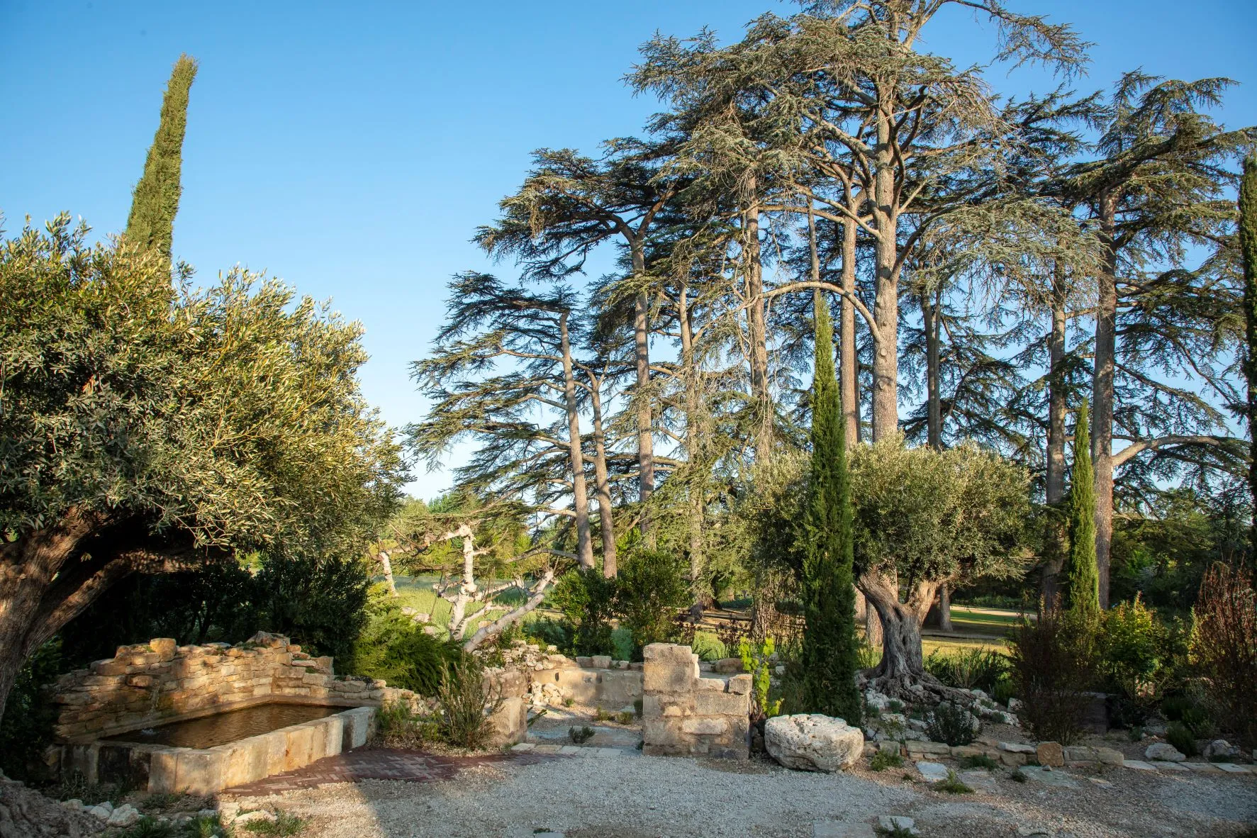 A chaumont-sur-loire, 30 ans de créations paysagères.-ES_8415bd