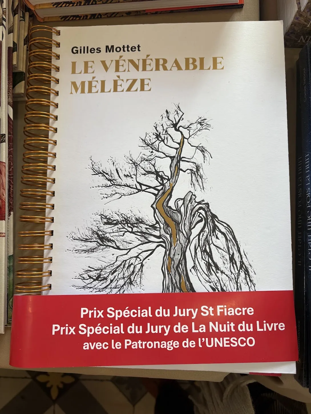 Salon Livres aux Jardins 4ème édition -IMG_4703