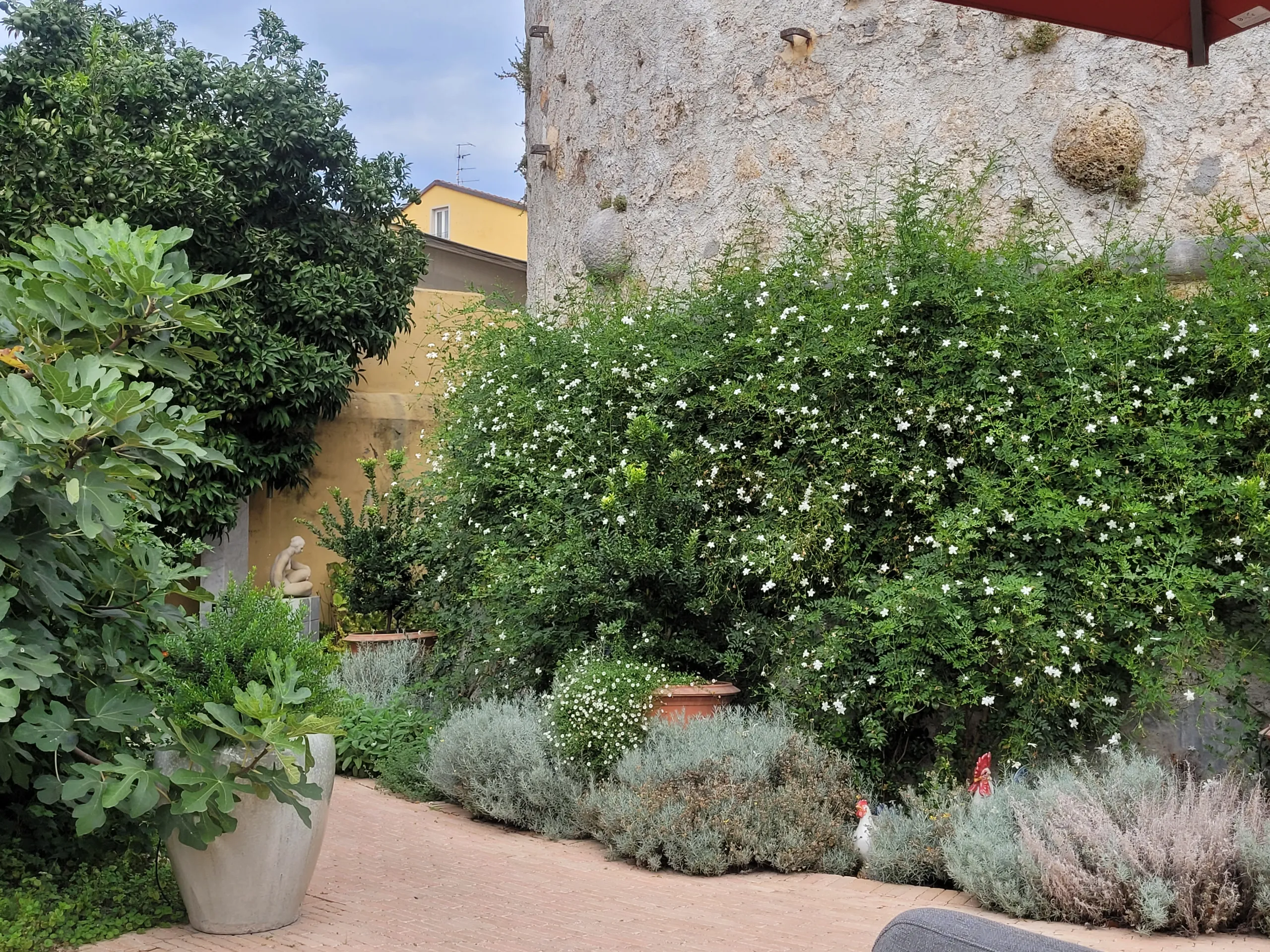 Hôtel Paradis-20221009_124444