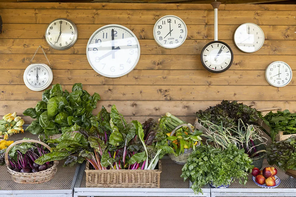 Paradis Agricole, une ferme 100% biologique-23-21760