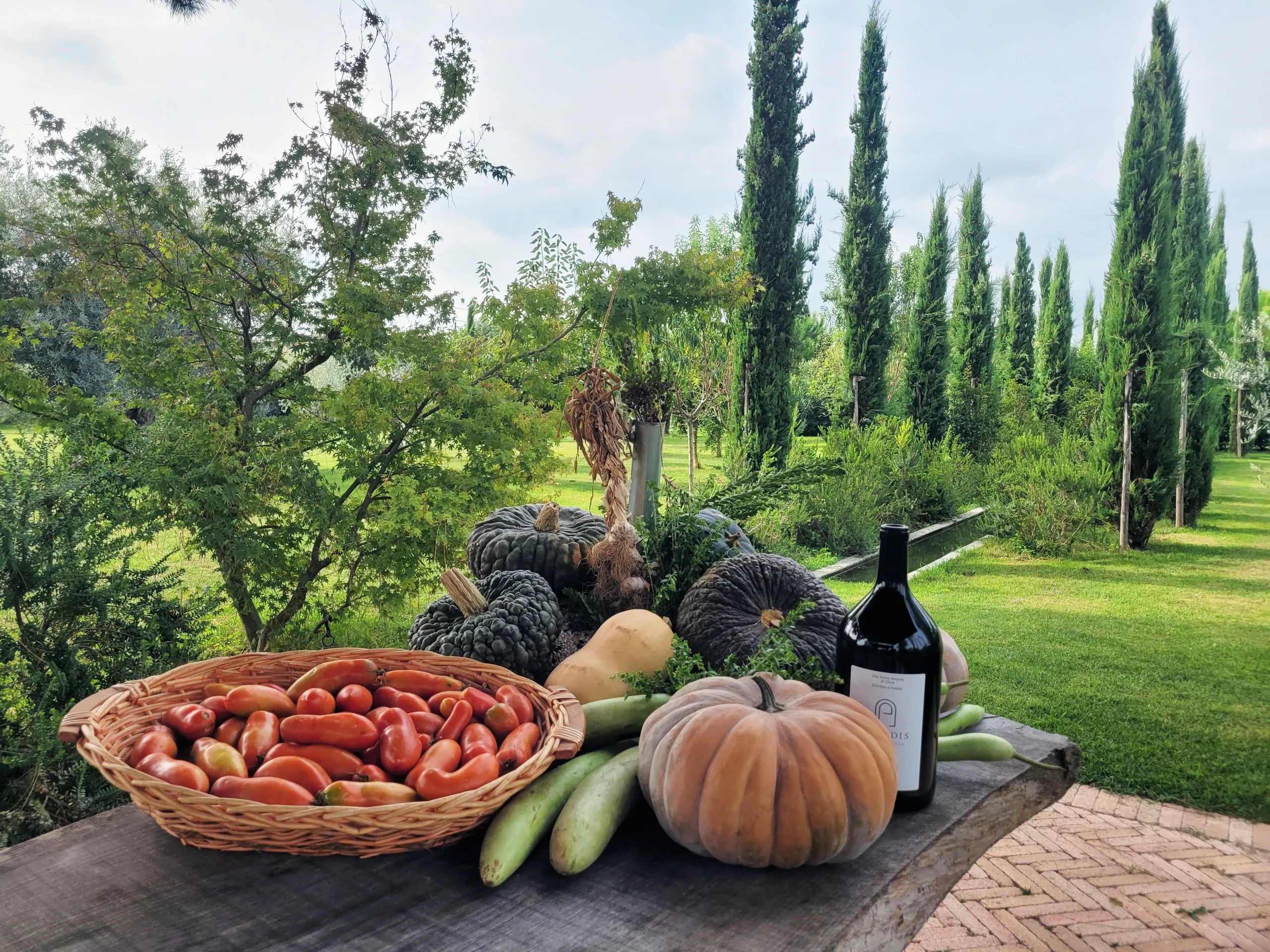 Paradis Agricole, une ferme 100% biologique-20230917_103513