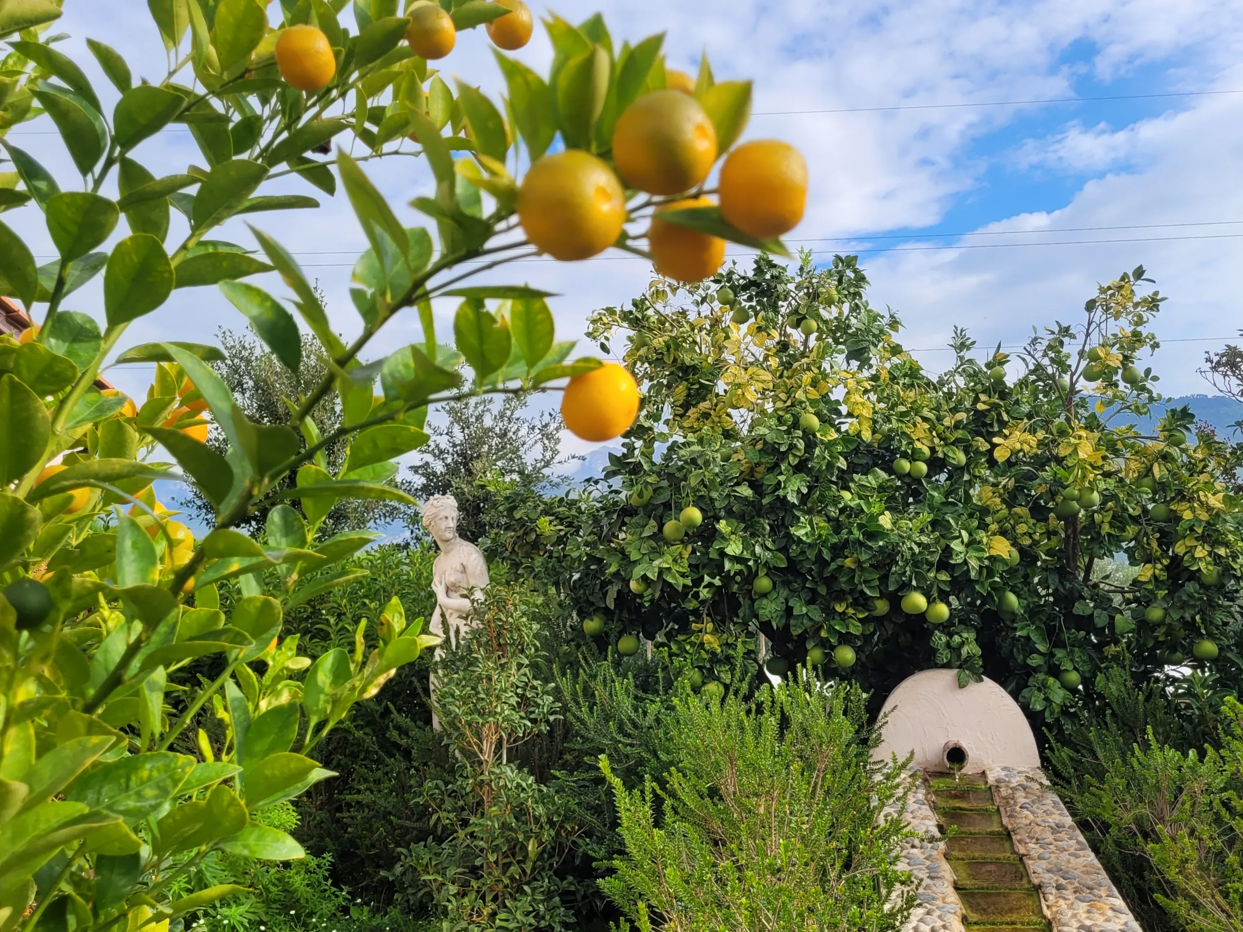Paradis Agricole, une ferme 100% biologique-20221010_102814